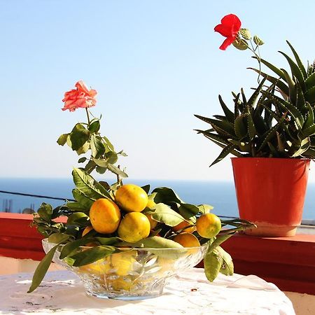 Alvanita Apartments Ulcinj Extérieur photo
