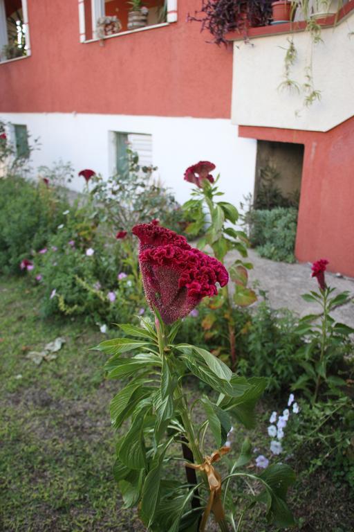 Alvanita Apartments Ulcinj Extérieur photo