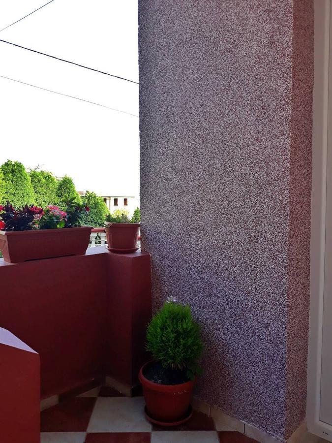 Alvanita Apartments Ulcinj Extérieur photo