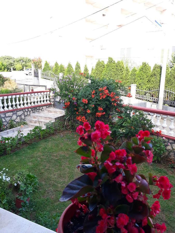 Alvanita Apartments Ulcinj Extérieur photo