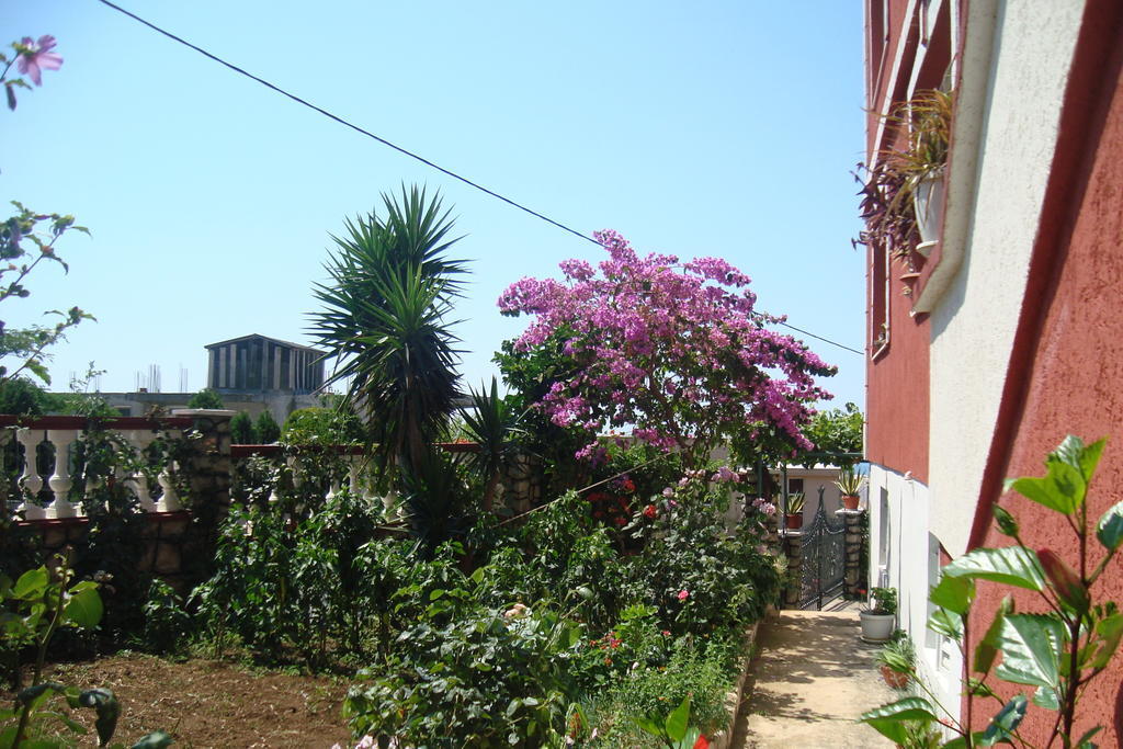 Alvanita Apartments Ulcinj Extérieur photo